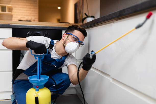 Best Flea Control Services  in Crookston, MN