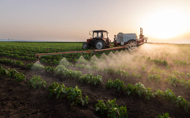 Best Pest Removal Services  in Crookston, MN