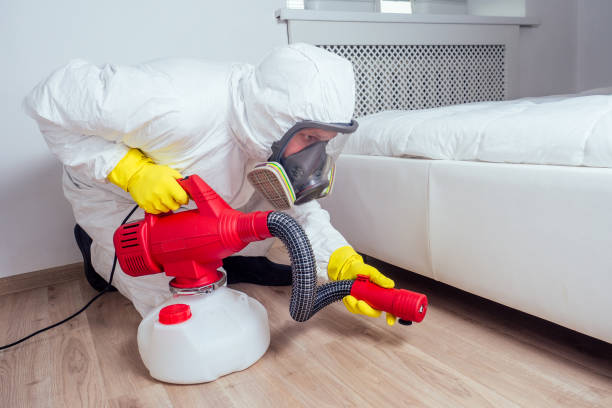 Best Flea Control Services  in Crookston, MN