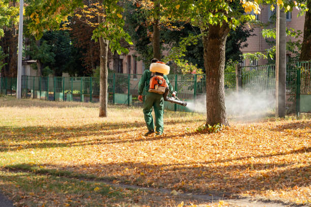 Best Local Pest Control Services  in Crookston, MN