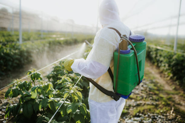  Crookston, MN Pest Control Pros